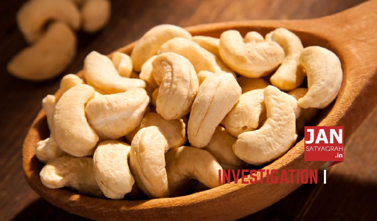 Scam: Cashew Processing Co-operatives siphoned off crores of rupees with blessings from Govt Authorities in Maharashtra